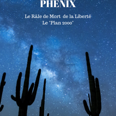 Couverture ebook pj 11