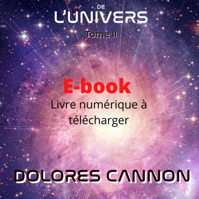 e-book Les Arcanes de l'Univers - Tome II
