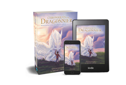 Visuel chroniques d un dragonnier